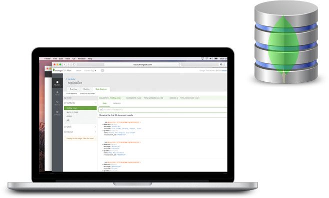 MongoDB database development solution