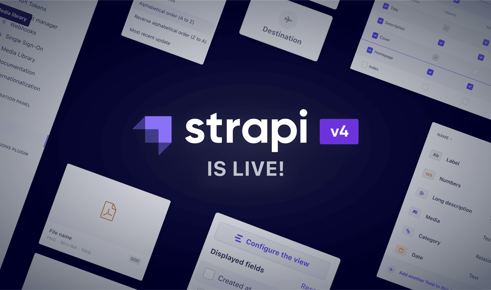 Strapi Headless CMS Development