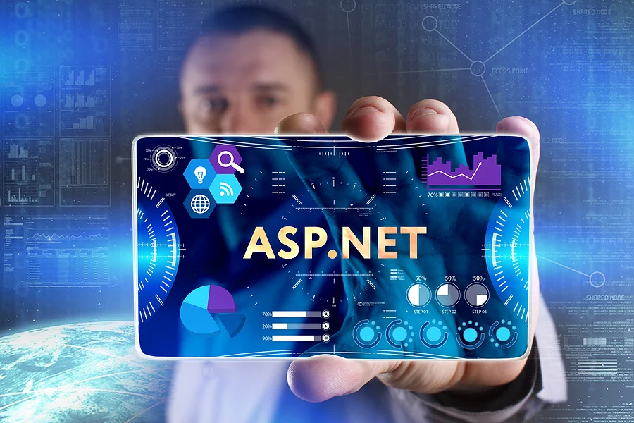ASP.NET Core web application and API development services