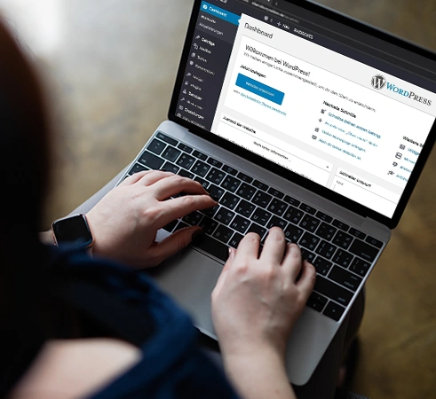 WordPress website development and custom CMS solutions