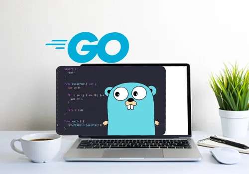 Go Golang backend development and microservices services